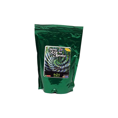 Key To Life Key to Uptake, 32 oz