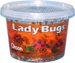 Orcon