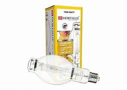 EYE HORTILUX MH, 1000W, e-Start U Lamp BT37